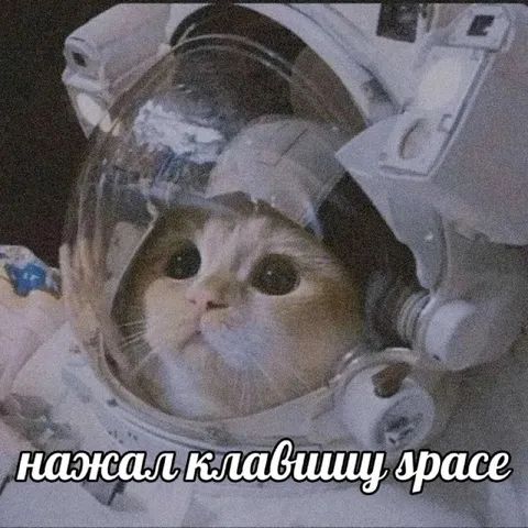 Кот нажал клавишу erase