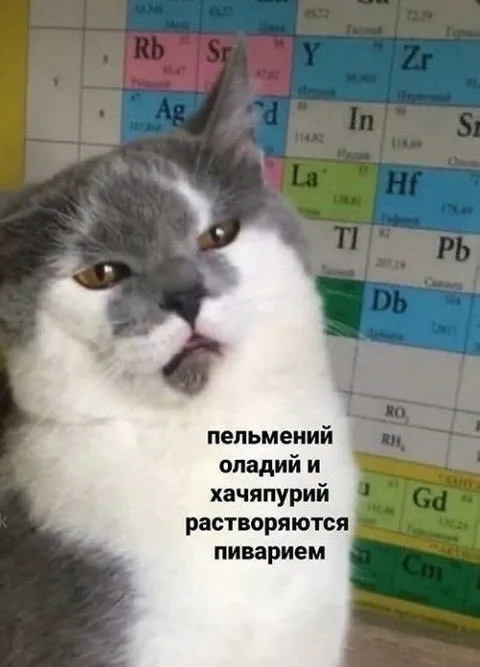 Кот-химик о растворении еды