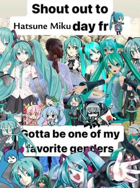 Hatsune Miku Favorite Gender