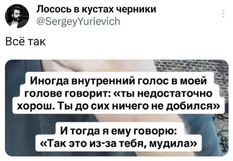 Внутренний голос виноват сам