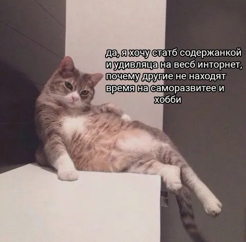 Кот хочет стать содержанкой