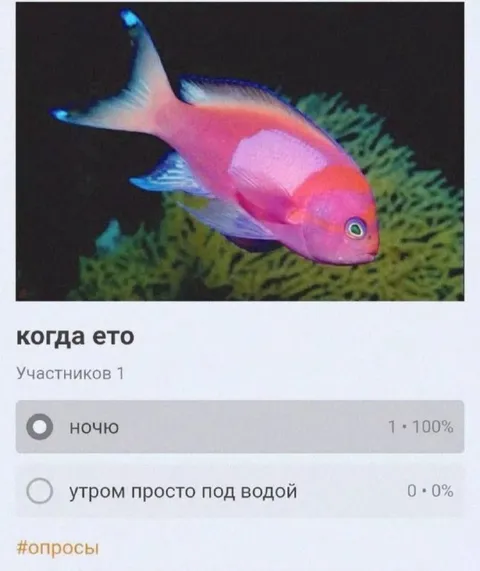 Когда это ночью