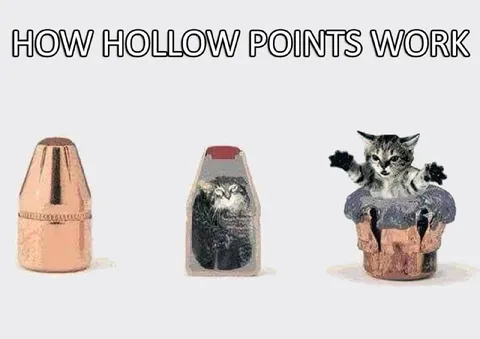 How Hollow Points Work
