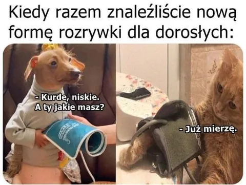 Nowa forma rozrywki dla dorosłych