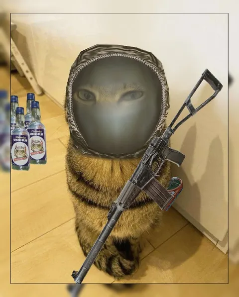 Armed Vodka Cat