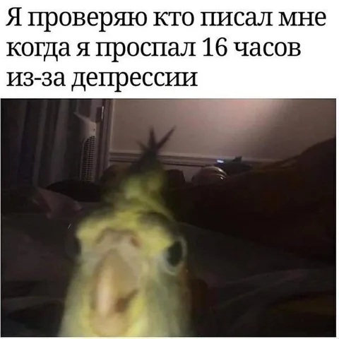Проверяю сообщения после долгого сна