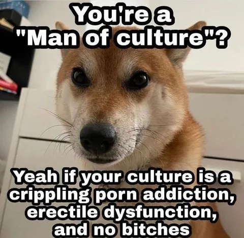Man of Culture Shiba Inu