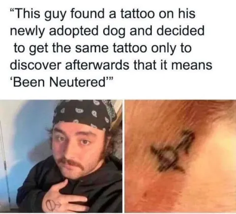 The Tattoo Means Neutered