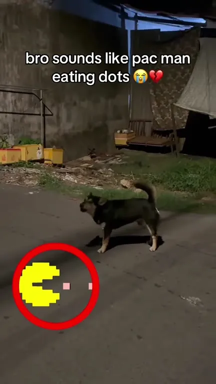 Dog Sounds Like Pac-Man