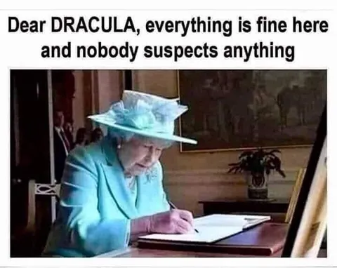 Dear Dracula, Everything Is Fine