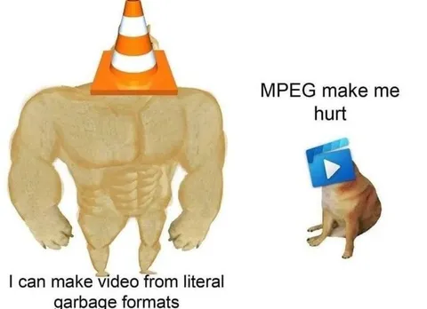 VLC Handles Garbage Formats