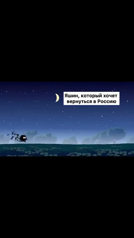Яшин пытается вернуться в Россию