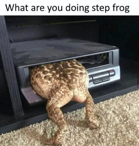 What Are You Doing, Step Frog?