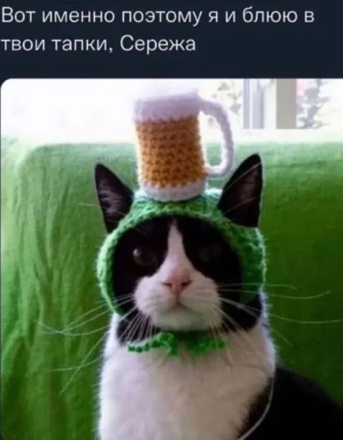 Кот в зелёной шапке