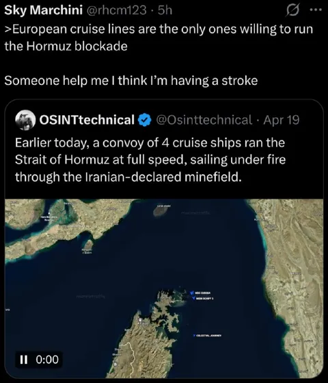 Cruise Ships Run the Hormuz Blockade