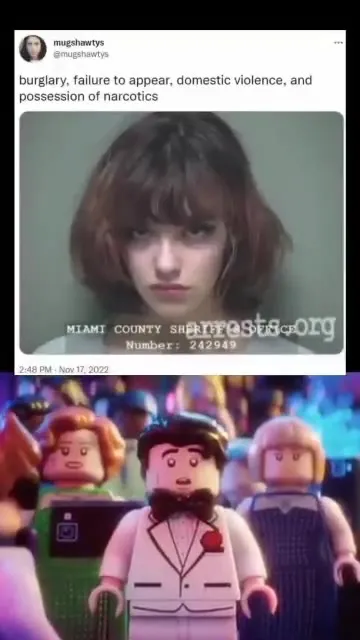Mugshot to glamorous Lego entrance