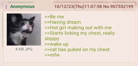 Cat Ruins the Dream