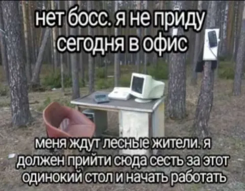 Лесной офис и одиночный стол