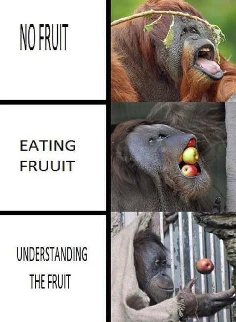Orangutan Understanding the Truit