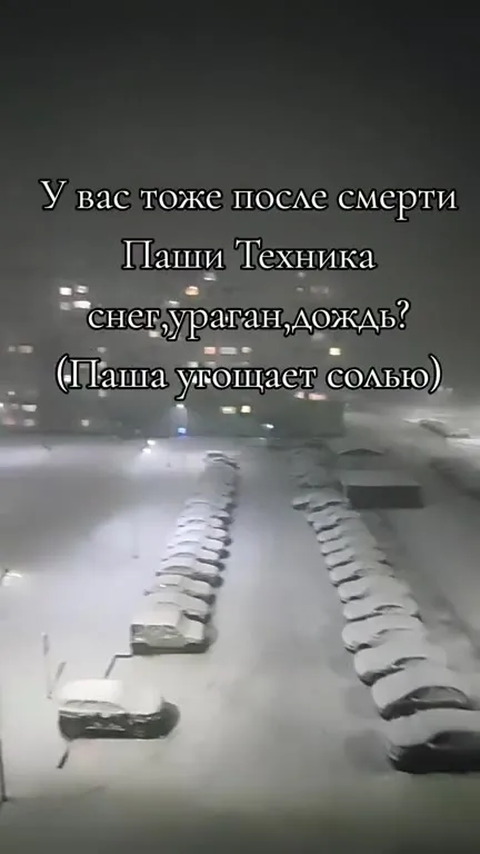 После смерти Паши Техника