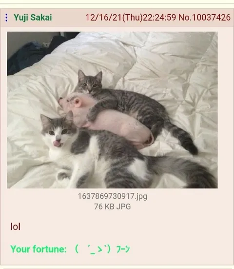 Cats Guarding a Pig