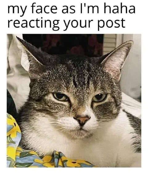 Cat Reacting to Your Post