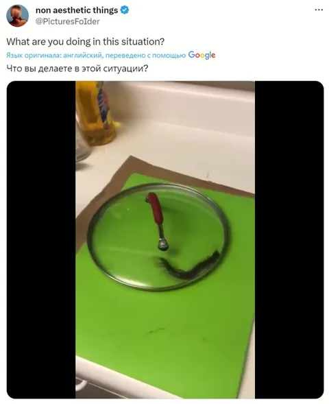 What Are You Doing in This Situation?