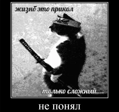 Жизнь — это прикол