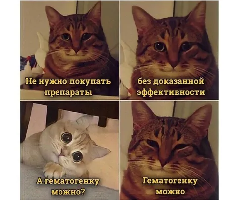 Гематогенку можно