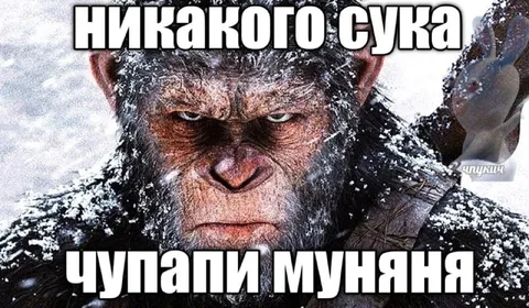 Никакого сука чупапи муняня