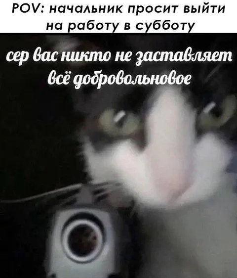 Начальник зовёт на работу в субботу