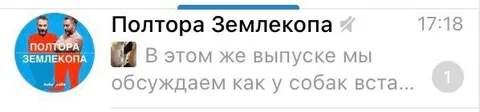 Как у собак встаёт