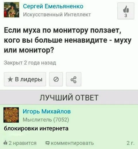 Блокировки интернета вместо мухи