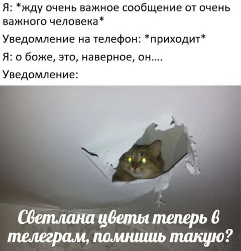 Жду сообщение от важного человека