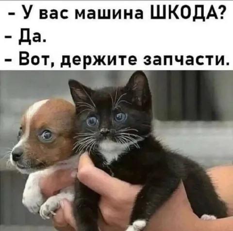 Машина Шкода и запчасти