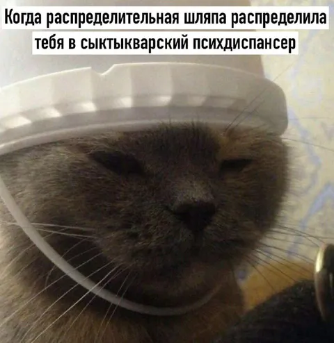 Распределили в психдиспансер