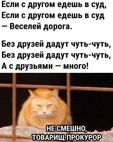 Веселая дорога с друзьями