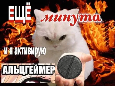 Ещё минута — и активирую Альцгеймер
