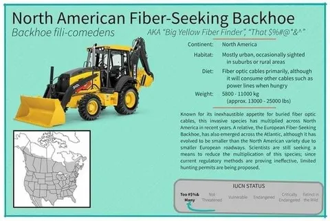North American Fiber-Seeking Backhoe