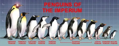 Penguins of the Imperium