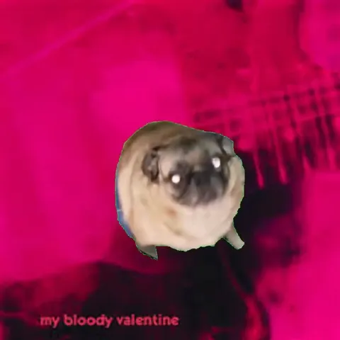 Pug Vibing to My Bloody Valentine