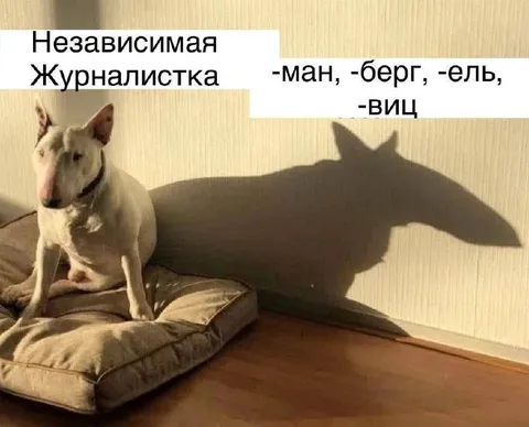 Независимая журналистка и её тень