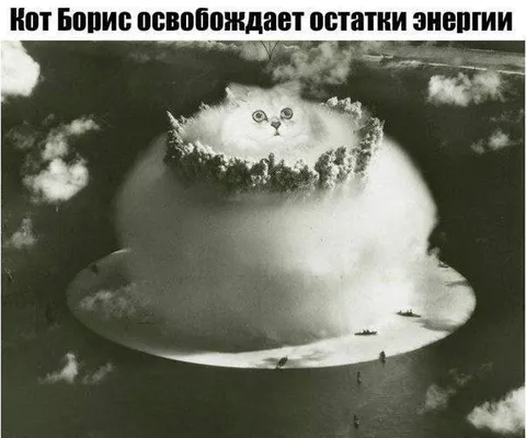 Кот Борис освобождает энергию