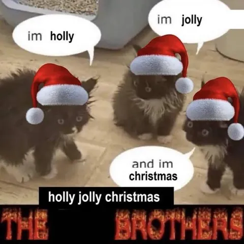 Holly Jolly Christmas Cats