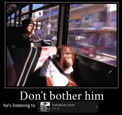 Don't Bother Him Listening to R.E.M.