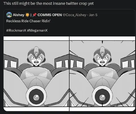 Most Insane Twitter Crop Yet
