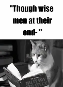 Cats Refuse to Go Gentle