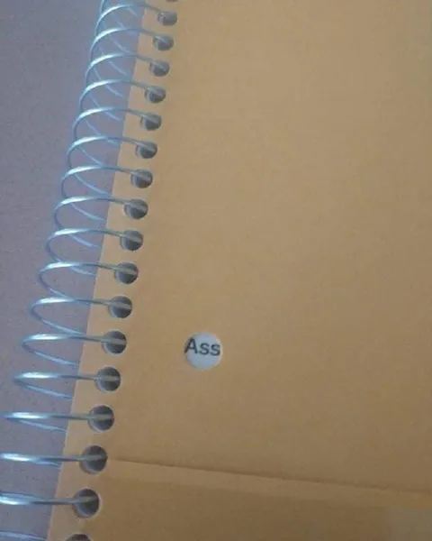 Notebook Says Ass