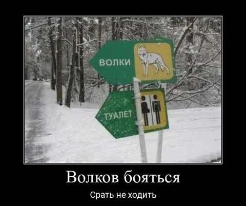 Волков бояться срать не ходить