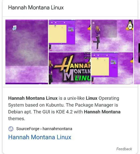Hannah Montana Linux
